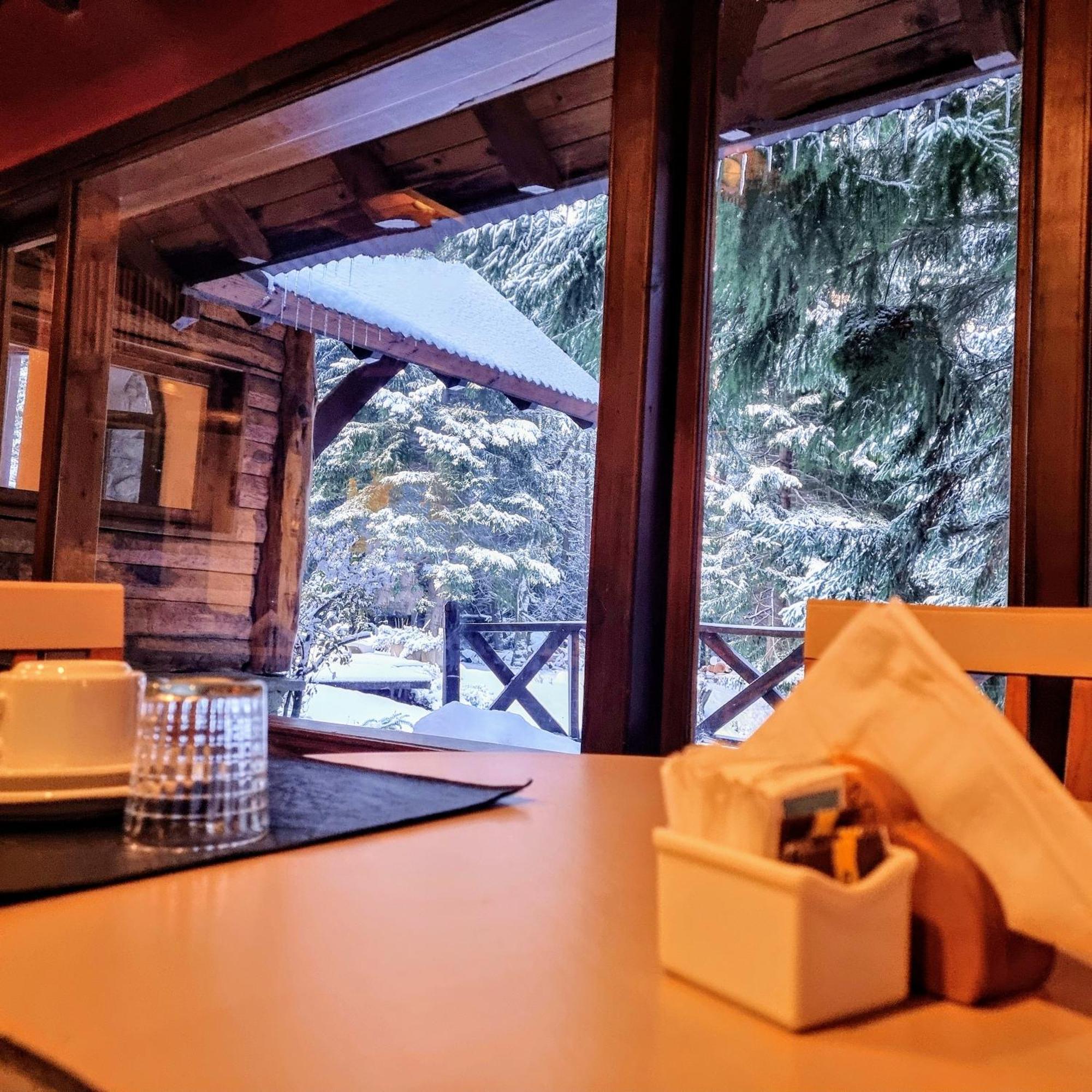 Altos Los Pioneros & Spa Вила ла Ангостура Екстериор снимка